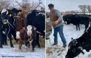 Snow and ice blanket much of Texas including Fisher County where ranchers are working to care for their livestock during Winter Storm Landon.