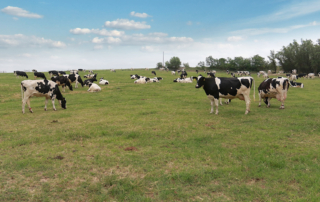 USDA extended the deadline to March 25 to enroll in Dairy Margin Coverage and Supplemental Dairy Margin Coverage for program year 2022.