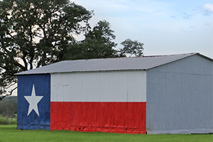 National Texas Day recognizes the people and history. That includes the role of farmers and ranchers and the many businesses impacted by agriculture.