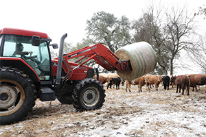 Winter Storm Landon has arrived in the Lone Star State, but ranchers continue working to keep cattle fed and cared for despite the cold.