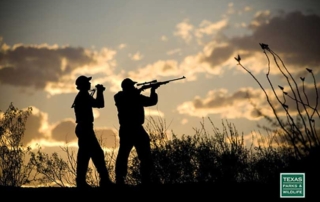 Texas Parks and Wildlife Department reports hunting-related accidents in Texas are at an all-time low since hunter education became mandatory in 1988.
