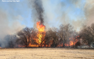 Texas Farm Bureau established the West Texas Wildfire Relief Fund to help farmers and ranchers recover from the devastating fires.