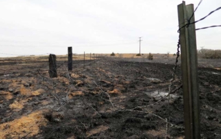 NRCS in Texas is offering financial assistance to Texas farmers and ranchers to help with wildfire recovery and restoration.