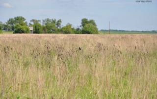 Farmers, ranchers and landowners can enroll in the U.S. Department of Agriculture's Grassland CRP through May 13.