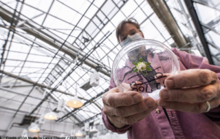 American Farm Bureau Foundation for Agriculture launched an online platform for K-12 and STEM educators who seek to bring science to life through the lens of agriculture.