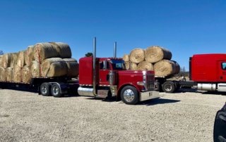 Coleman County wildfire victims received hay and cattle feed from Anderson County Farm Bureau members to help them recover.
