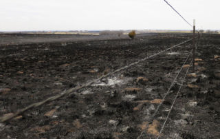 Preliminary estimates show wildfires in Texas in March and April resulted in $23.1 million in agricultural losses.