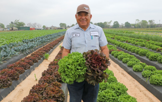 Mike Atkinson grows a bountiful harvest for his Houston neighbors. His farm in Spring thrives despite urban encroachment.