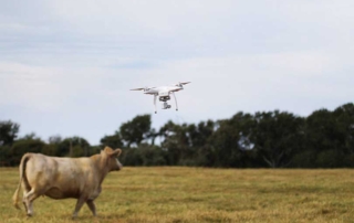 A federal judge struck down a Texas drone law that could positively and negatively impact Texas farmers and ranchers.