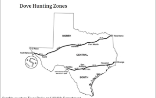 dove hunting zones