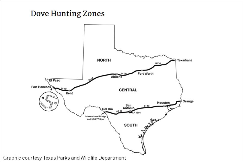 Dove hunting season approaches for north, central zones Texas Farm Bureau