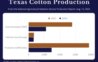 Texas cotton production