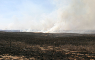 To prevent future damage to crops, pastures, homes and businesses, the Texas A&M Forest Service is urging all Texans to use caution with anything that can create a spark and ignite a fire outdoors.