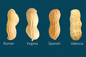 Get a handful of Texas peanut facts for National Peanut Day! More information is available on Texas Table Top.
