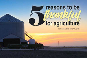 ‘Tis the season to be thankful and to count our many blessings. Julie Tomascik reflects on the top 5 reasons to be thankful for agriculture on Texas Table Top.