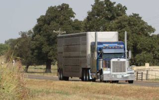 The Department of Transportation’s FMCSA denied an exemption from hours of service rules for drivers transporting live animals.
