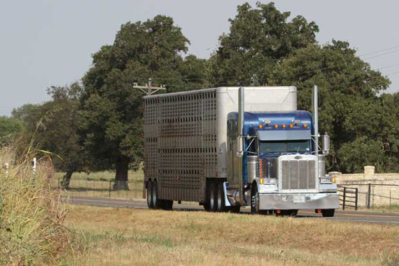 FMCSA denied extended trucking hours for agriculture - Texas Farm Bureau