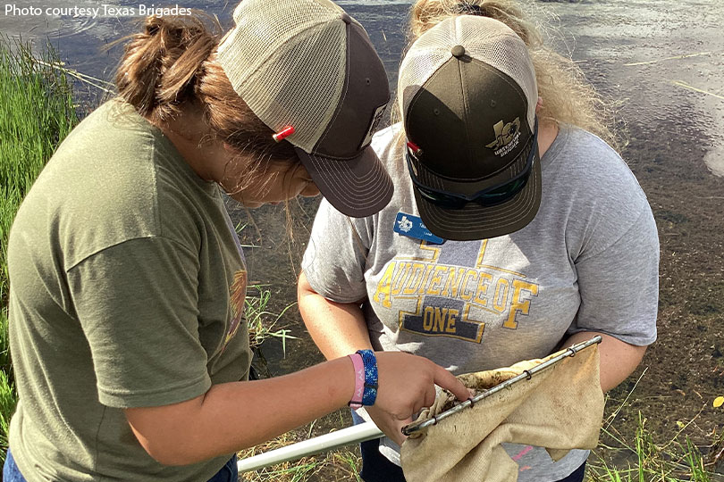 Ranch, wildlife brigades teach youth valuable skills Time is running out for Texas youth to apply for one of several hands-on, engaging summer camps designed to introduce them to the animals, habitats and natural resources.