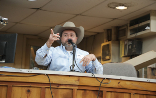 Texas auctioneer makes bid for world title Fast-talking auctioneer Andy Baumeister is living his dream as an auctioneer and sale barn owner. And he’s also making a run for the world auctioneering title.