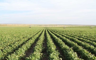 USDA allocates $75 million to advance organic transition NRCS will provide $75 million in financial and technical assistance to farmers transitioning to organic production as part of the Organic Transition Initiative.