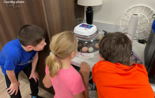 Egg-citing new program hatched in East Texas classrooms County Farm Bureaus in East Texas hatched an idea to bring agriculture to classrooms in the area. The new program, Eggcellence in the Classroom, encourages students and teachers to learn more about poultry production.