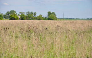 Nearly 2.7 million acres enrolled in Grassland CRP USDA is enrolling nearly 2.7 million acres for farmers, ranchers and private landowners through the agency’s Grassland Conservation Reserve Program.