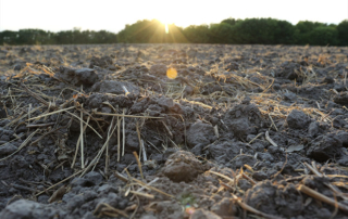 Study shows deep soil testing useful for farmers A recently released Texas A&M AgriLife Extension Service publication reports deep soil testing may pay off more this year compared to previous years.