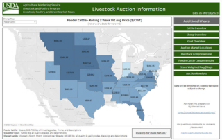 New USDA Livestock Auction Dashboard available USDA launched the Livestock Auction Dashboard to provide users the ability to view and access livestock auction market information for cattle, sheep and goats.