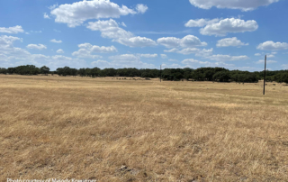 Drought intensifies across the Lone Star State Drought conditions intensify across the Lone Star State as ranchers take extra steps to monitor their livestock.