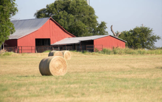 Report shows agriculture land value up from last year U.S. agricultural land values and cropland cash rents have reached new highs, according to USDA’s latest Land Values Summary report.