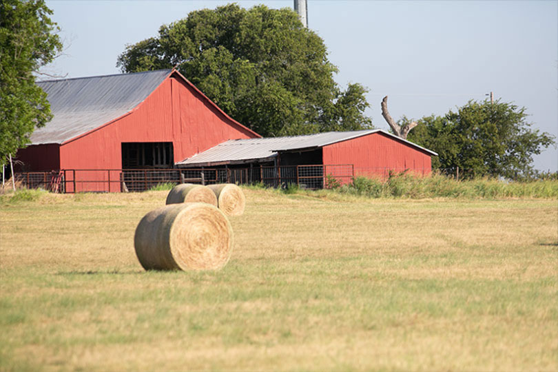 Report shows agricultural land value up from last year - Texas Farm Bureau