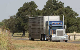 Livestock haulers continue to face transportation challenges Livestock haulers have continued to face a number of transportation challenges this year, including electronic logging device regulations, flexibility in hours of service and weight limits.