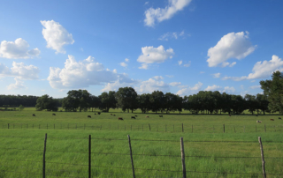 Cash rent rates increase for Texas pasture, cropland Texas farmers and ranchers paid more to rent pasture and cropland over the past year, according to a new USDA NASS report.