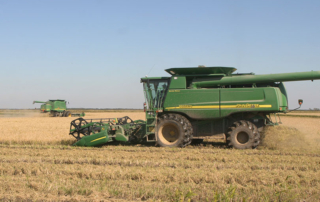USDA makes additional payment for Texas rice farmers Eligible Texas rice farmers will receive an additional payment through FSA’s Rice Production Program, which provides up to $250 million in assistance to rice farmers based on 2022 rice acres.
