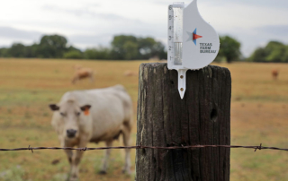 September rains bring some relief to dry Texas pastures, fields Sporadic rainfall across the state helped provide some relief, but more is needed to escape the intense drought conditions.