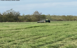 Fall brings greener pastures, another hay cutting An exceedingly dry summer left many farmers and ranchers devastated, but September rainfall greened up Bell County rancher’s field for a successful fall hay cutting.
