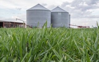 Farmers and ranchers are expected to face high input costs once again 2024, according to AgriLife Extension economists.