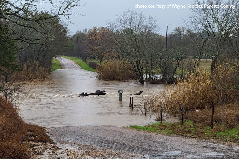 Texas drought eases with January rainfall Parts of Texas received significant rainfall last week. Although parts of the state remain in drought, Texas farmers and ranchers are looking at a better outlook heading into spring.