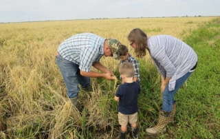 USDA issued its 2023 Farms and Ranches at a Glance Report, showing that 97% of farms and ranches are a family business.