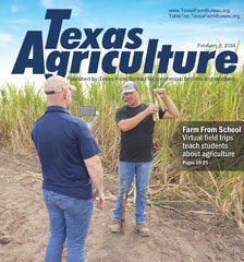 Texas Agriculture Publication | February 2, 2024