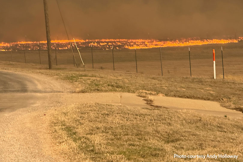 Wildfires burn over 500,000 acres in Texas Panhandle More than 500,000 acres in the northern region of the state have burned this week.