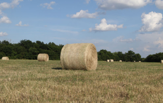 Texas hay supplies remain tight Ranchers are hopeful for a better outlook but remain cautious as hay supplies remain tight and higher demand drives prices upward.