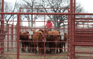 Texas ranchers stay resilient amid Panhandle wildfires