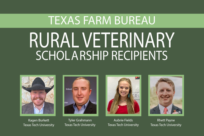 TFB names 2024 Rural Veterinary Scholarship recipients Four students pursuing a Doctor of Veterinary Medicine degree were awarded Rural Veterinary Scholarships from Texas Farm Bureau.
