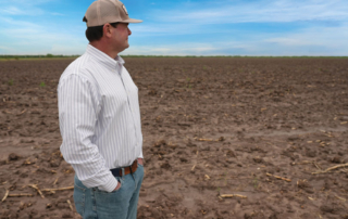 Water woes dry up sugarcane production in Texas The sweetest crop in Texas is no more. It’s a difficult reality for farmers like Sam Sparks who have grown sugarcane for years.