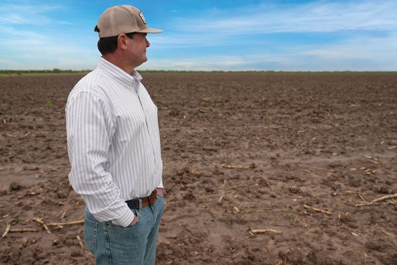 Water woes dry up sugarcane production in Texas – Texas Farm Bureau