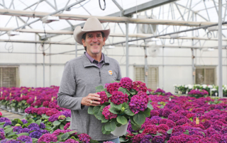 Klepac family’s greenhouse legacy flourishes Jimmy Klepac is the third generation to run Klepac Greenhouses, where the plants they grow are sold to wholesalers and retailers across Texas.