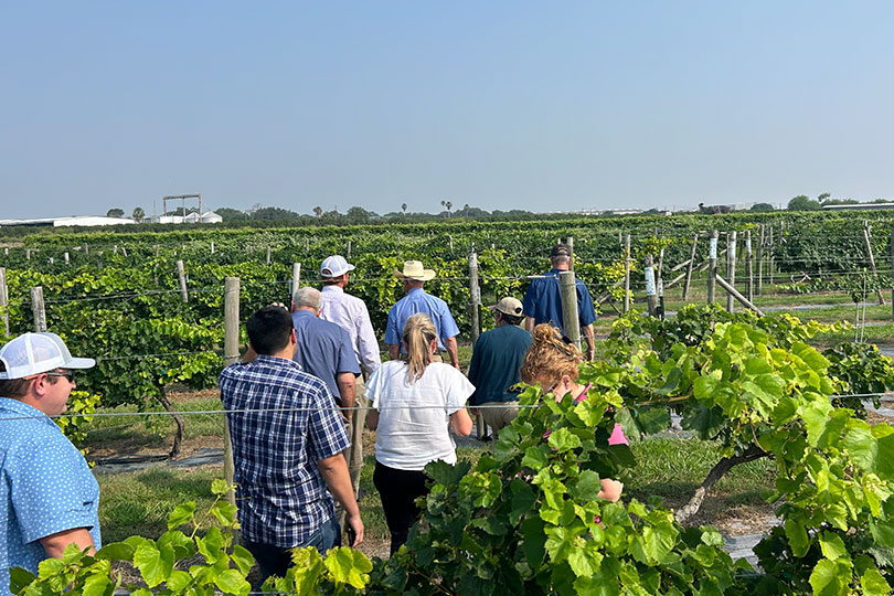 AgLead XVI tours Rio Granda Valley Texas Farm Bureau’s AgLead XVI returned home with new perspectives and connections after a four-day trip to the Rio Grande Valley in May.