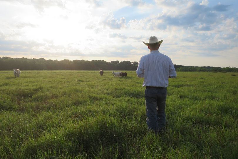 May is Mental Health Awareness Month Farming and ranching can be demanding and stressful. May is Mental Health Awareness Month to bring awareness and reduce the stigma surrounding mental health challenges.