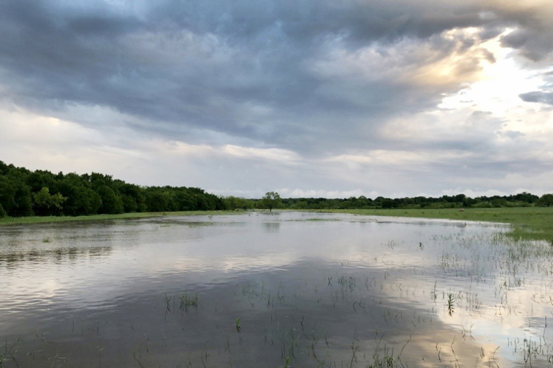 Flooding impacts numerous Texas counties, agriculture Flooding impacted several Texas counties over the last couple of weeks. It’s a stark contrast from the last two years of severe drought.